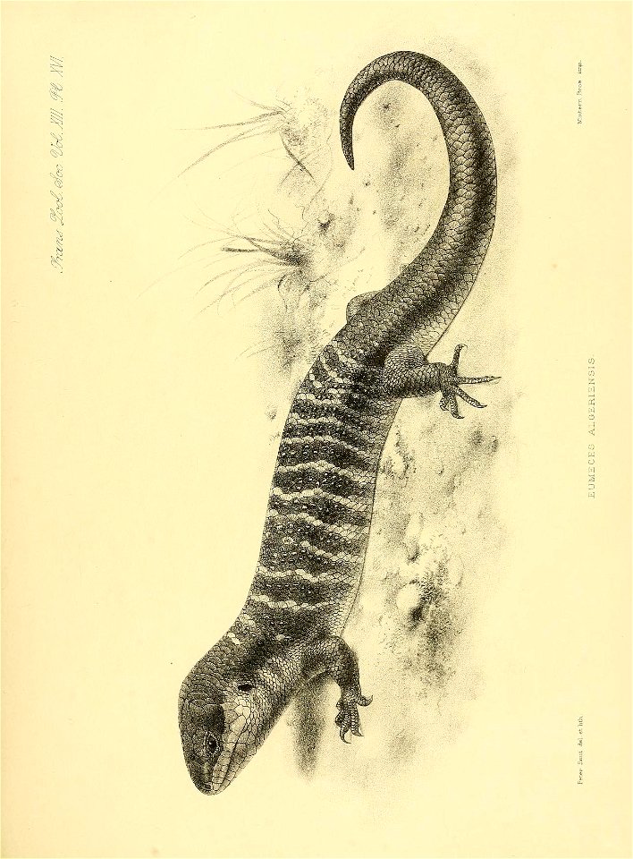 n204_w1150