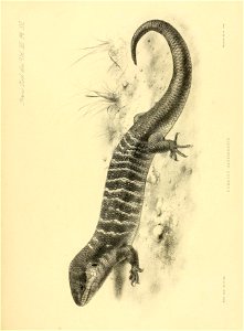 n204_w1150
