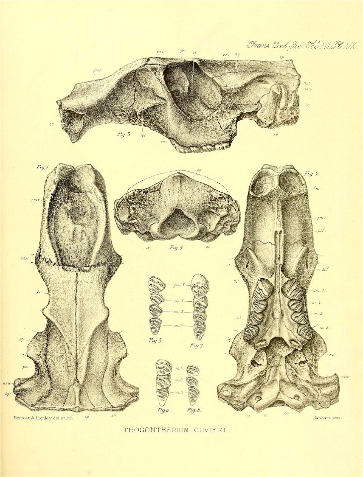 n222_w1150