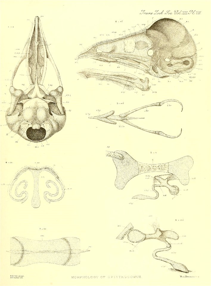 n110_w1150