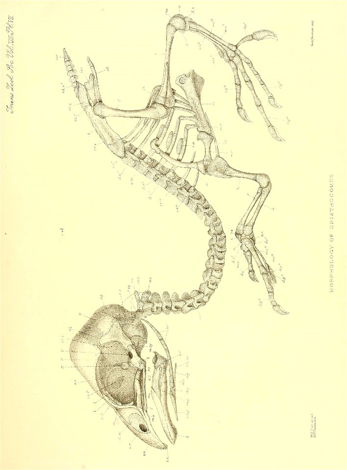 n108_w1150