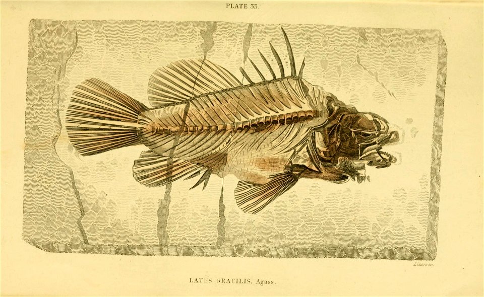 n310_w1150