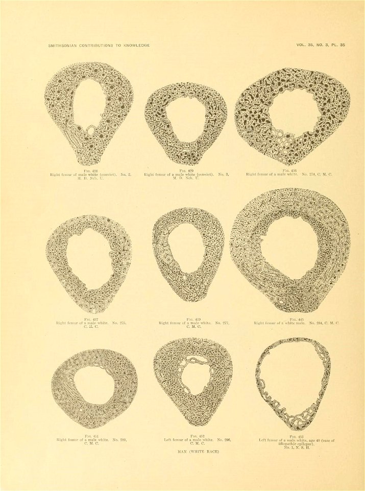 n683_w1150
