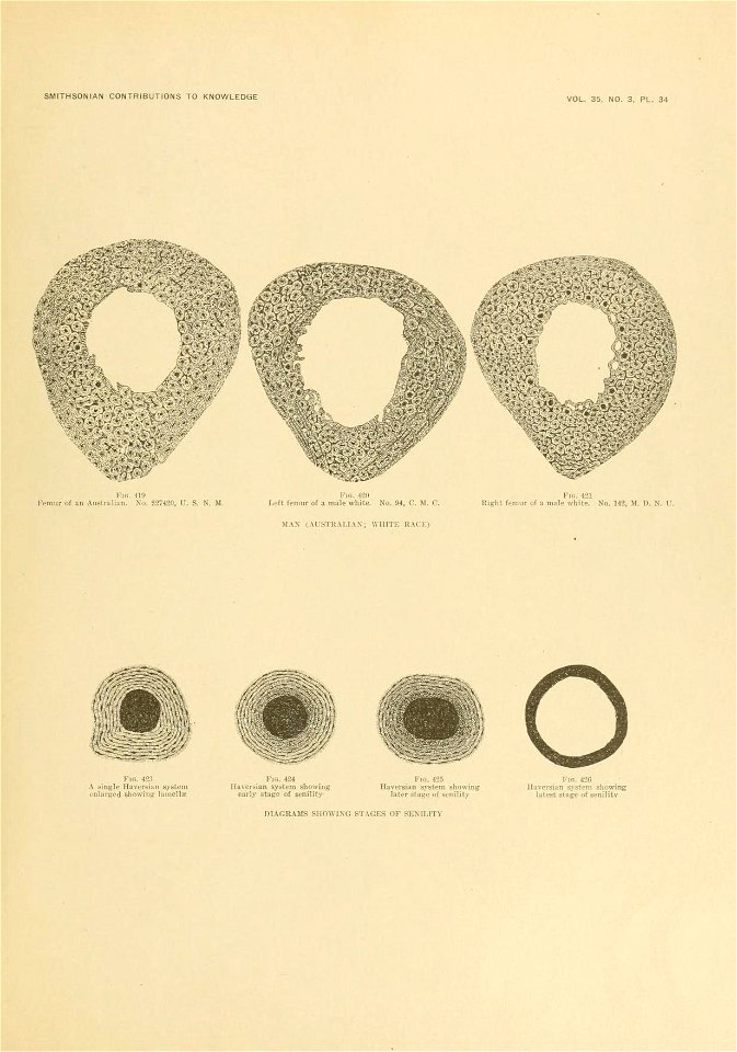n682_w1150