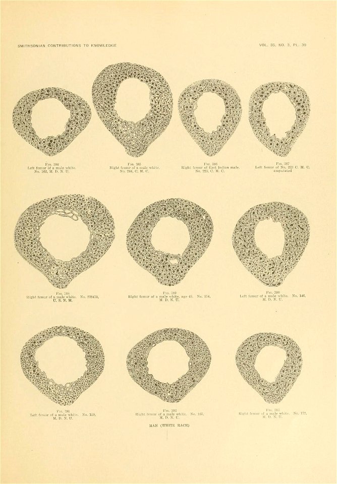 n678_w1150