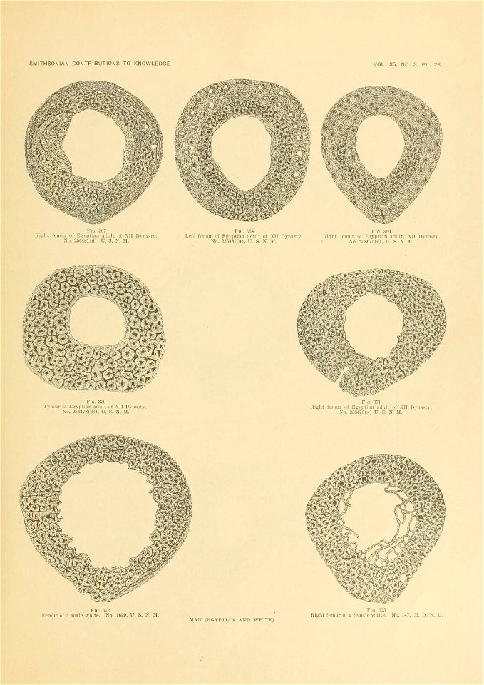 n676_w1150