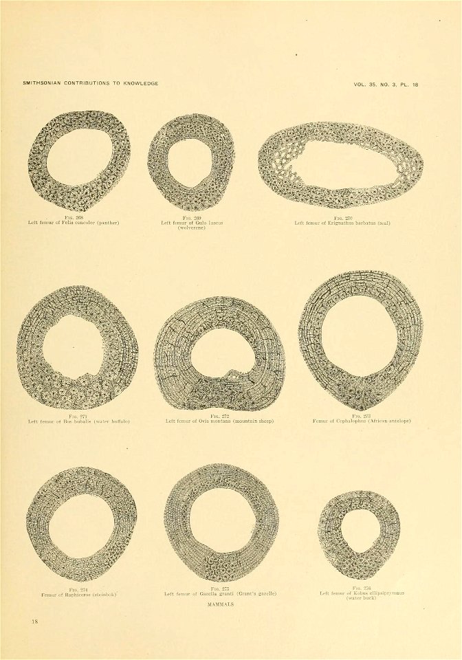n666_w1150
