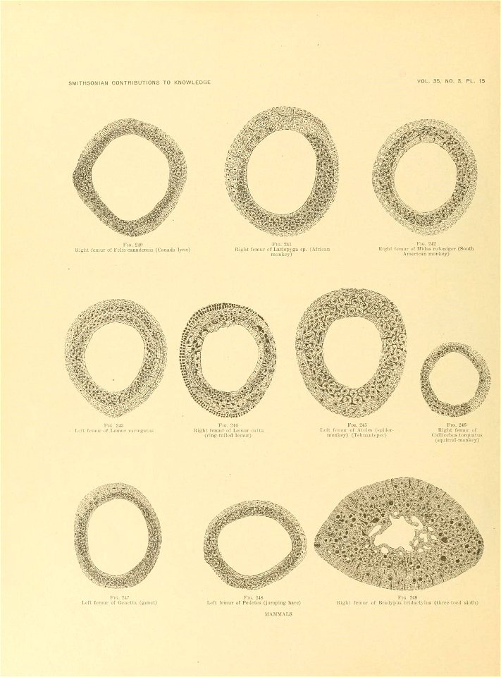 n663_w1150