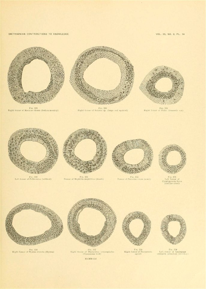 n662_w1150