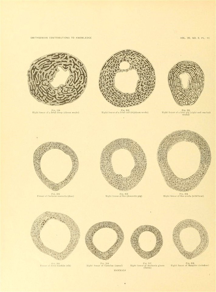 n659_w1150