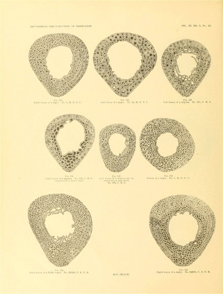 n671_w1150