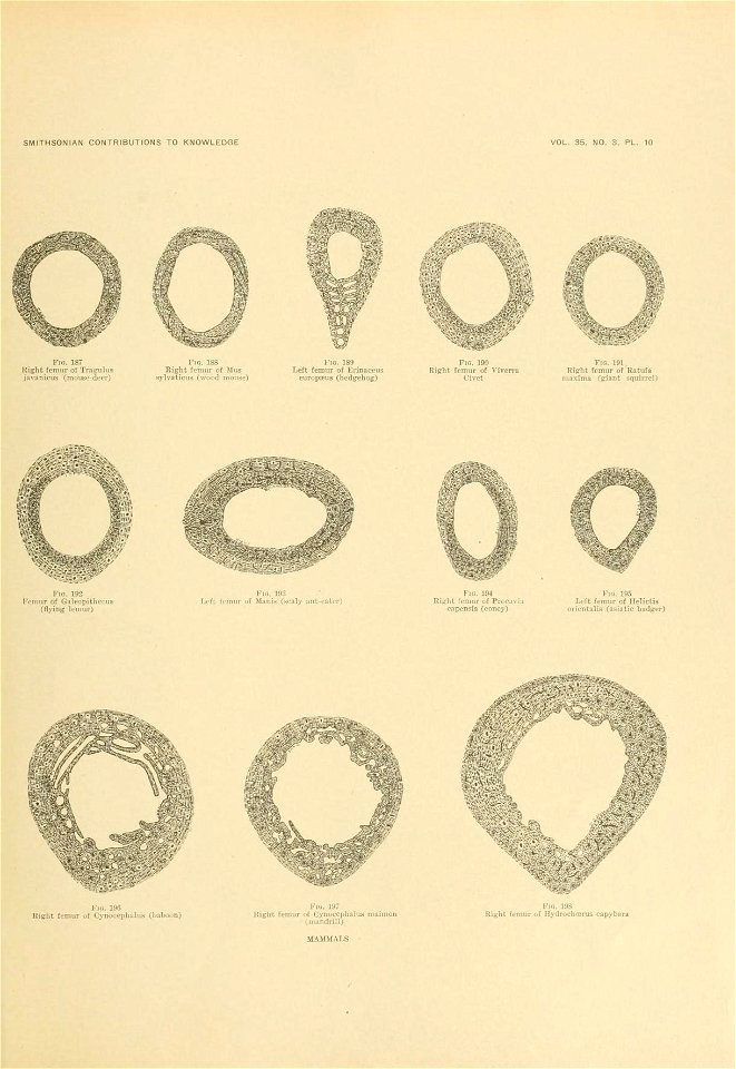 n658_w1150