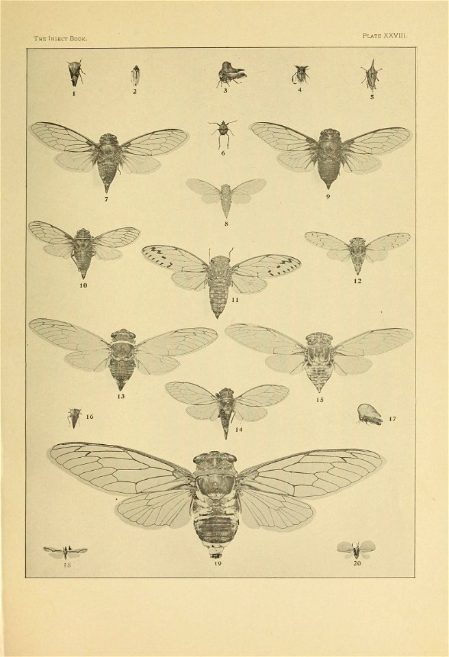 n402_w1150