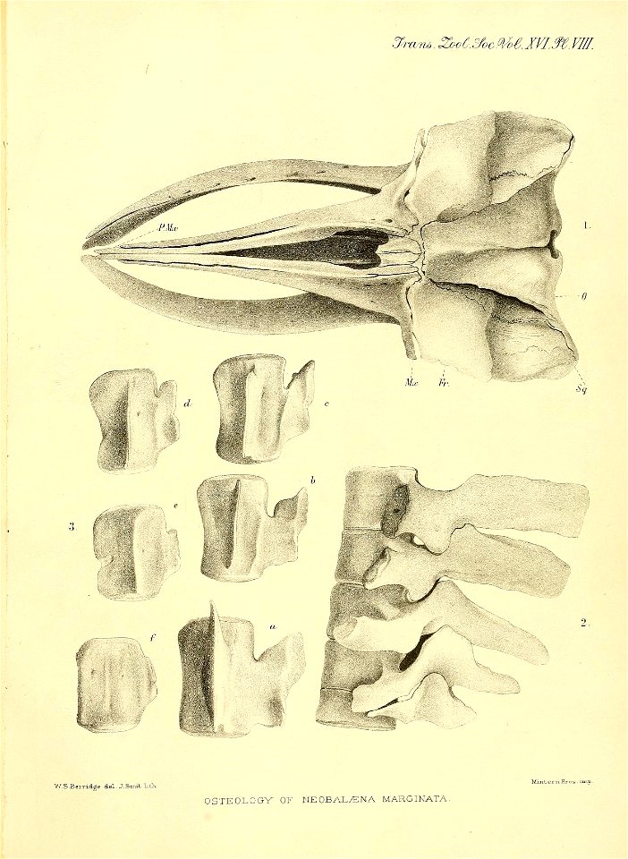 n144_w1150