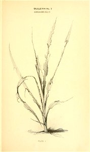 n84_w1150