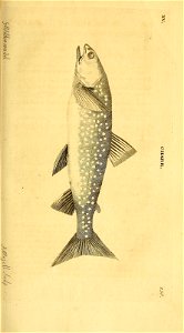 n330_w1150
