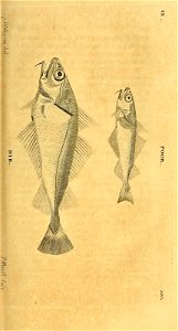 n212_w1150