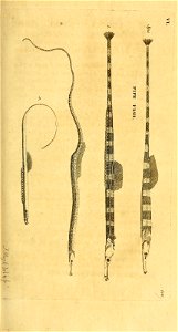n162_w1150