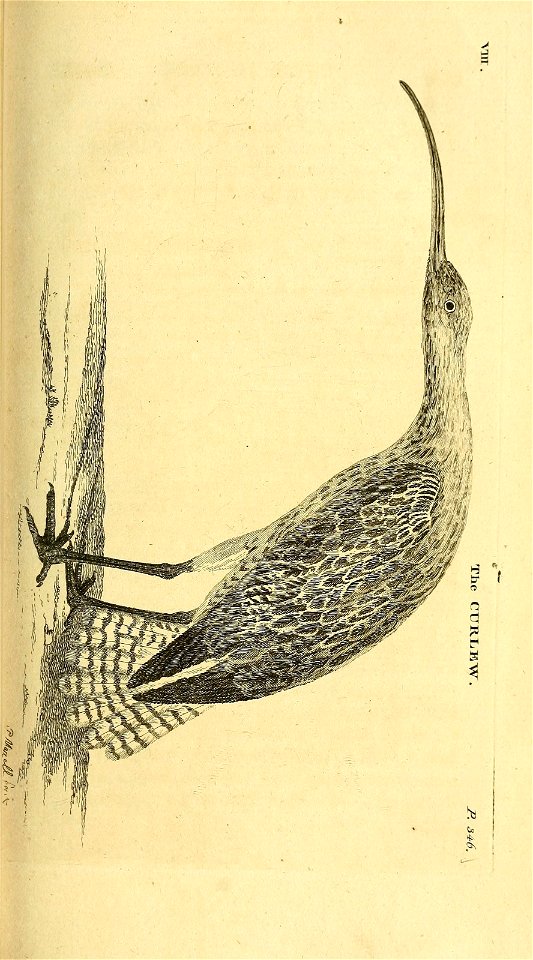 n112_w1150