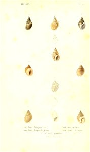 n232_w1150