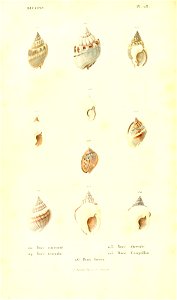 n225_w1150