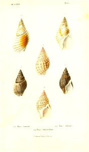 n172_w1150