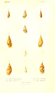 n134_w1150