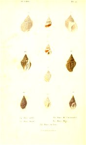 n141_w1150