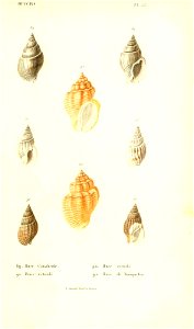 n138_w1150