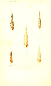 n63_w1150