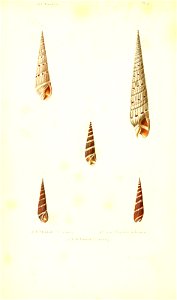 n57_w1150