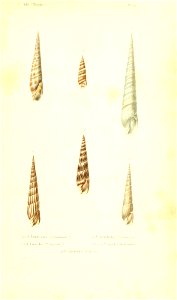 n40_w1150