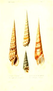 n16_w1150