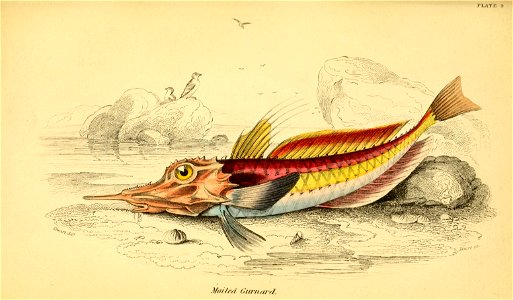 n162_w1150