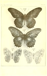 n436_w1150