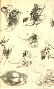 n372_w1150