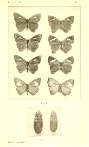 n366_w1150