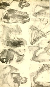 n368_w1150