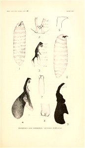 n152_w1150