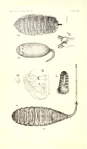 n433_w1150
