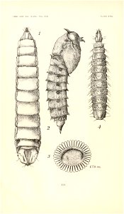 n431_w1150