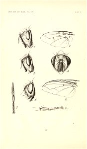 n295_w1150