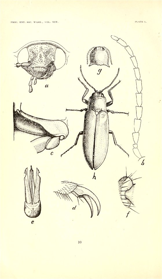 n263_w1150