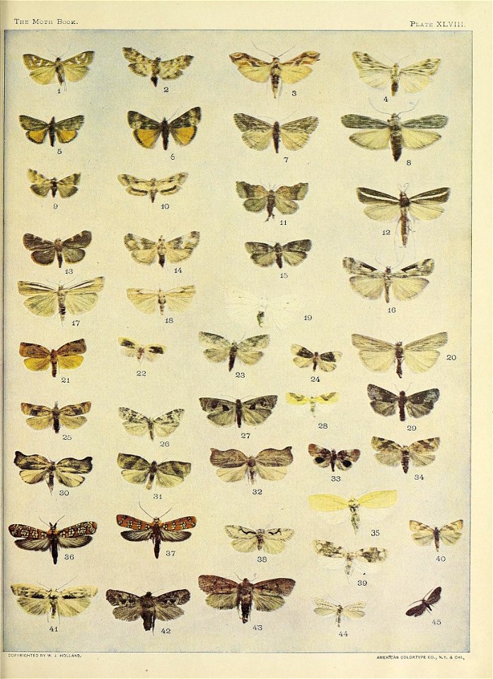 n1224_w1150