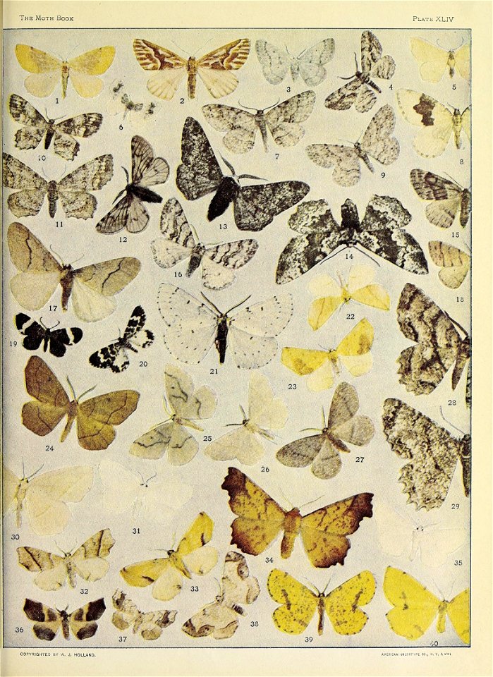 n1144_w1150