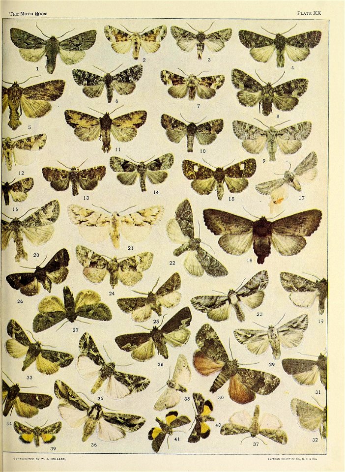 n876_w1150