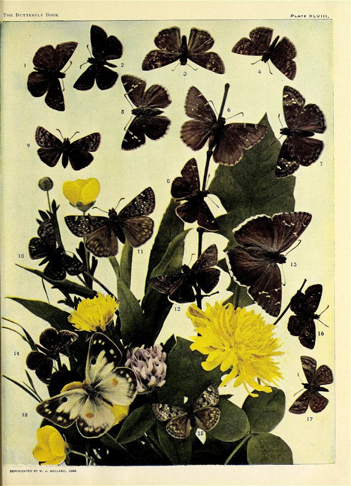 n574_w1150