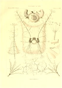 n154_w1150