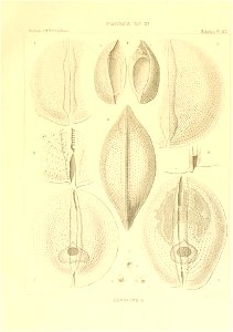 n142_w1150