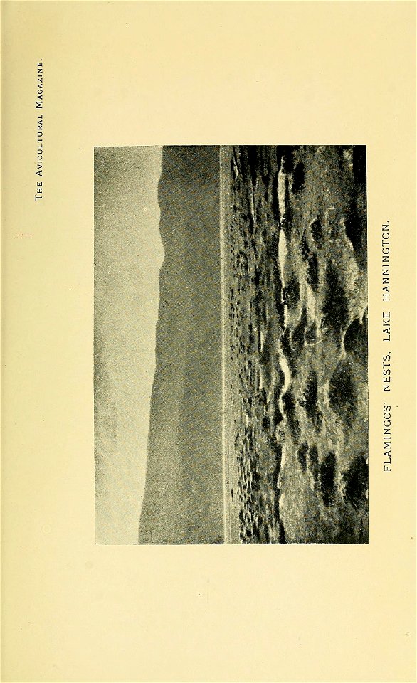 n512_w1150
